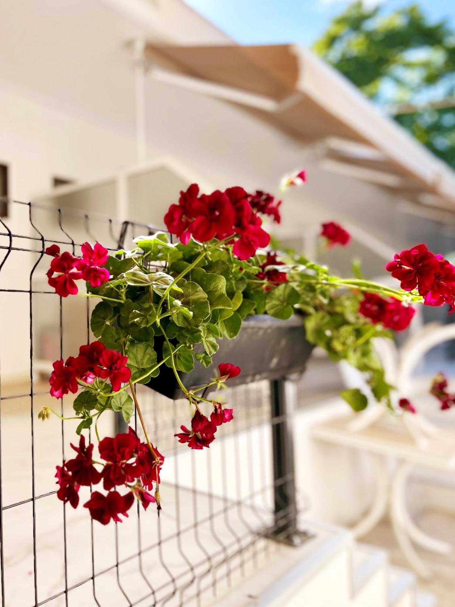 Guest House Julia Stavros (Thessaloniki) Exterior foto